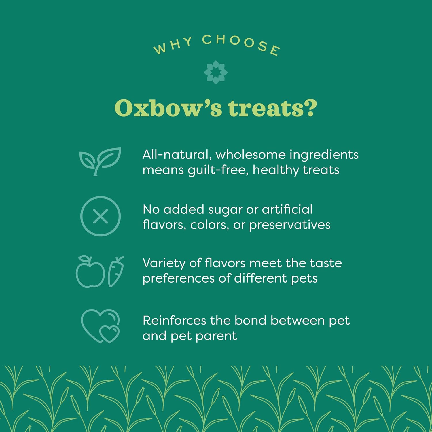 Oxbow Organic Barley Biscuits, Rabbit & Guinea Pig Treats, Organic Hamster & Bunny Treats with Barley, Apple & Carrot, Made in USA, Small Pet Supplies, 2.65 oz Bag - Image 4