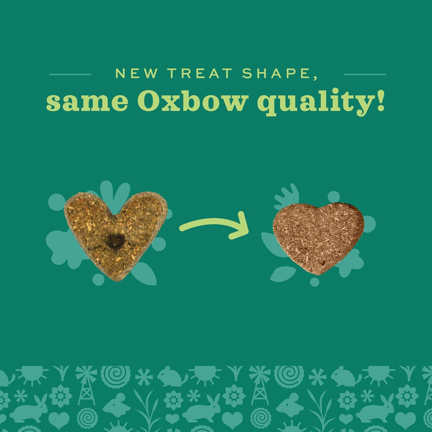 Oxbow Organic Barley Biscuits, Rabbit & Guinea Pig Treats, Organic Hamster & Bunny Treats with Barley, Apple & Carrot, Made in USA, Small Pet Supplies, 2.65 oz Bag - Image 10