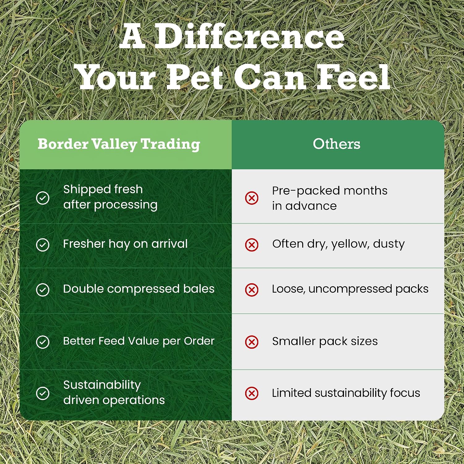 Border Valley Alfalfa Hay Bale in Bag, 40 lb - High Fiber Hay for Rabbits, Guinea Pigs, Chinchillas, Tortoises, Horses and Livestock - Protein-Rich Plant-Based Nutrition, Farm-to-Home Freshness - Image 5