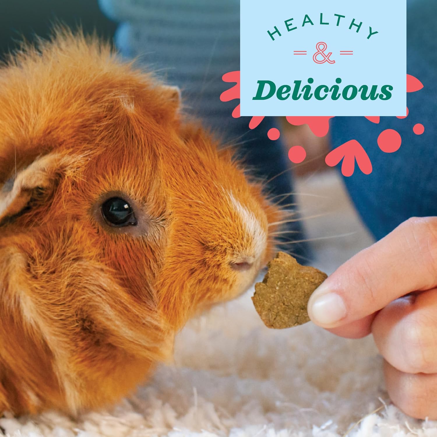 Oxbow Simple Rewards Baked Carrot & Dill Treats, Rabbit & Guinea Pig Treats Made with Timothy Hay, Healthy Guinea Pig, Hamster & Bunny Snack, Timothy for Rabbit, Made in USA, 3 oz Bag - Image 6