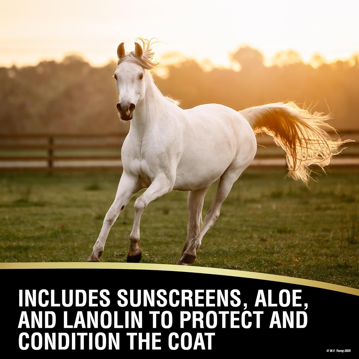 Absorbine UltraShield EX 128oz Insecticide, Kills & Repels Flies, Mosquitoes, Ticks, Fleas, Lice, Use on Horses, Dogs, Premises - Image 3