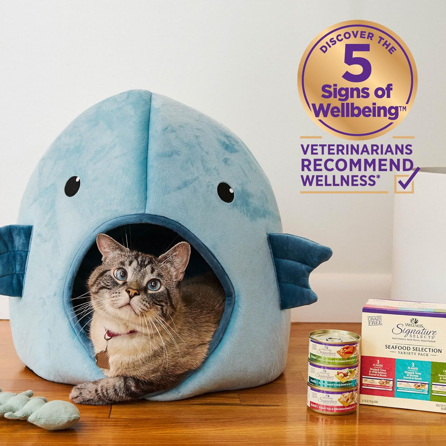 Wellness CORE Signature Selects Shredded Adult Canned Wet Cat Food, Natural, Protein Rich, Grain Free, Chicken Entrée Recipe, 2.8 oz, Pack of 12 Cans - Image 5