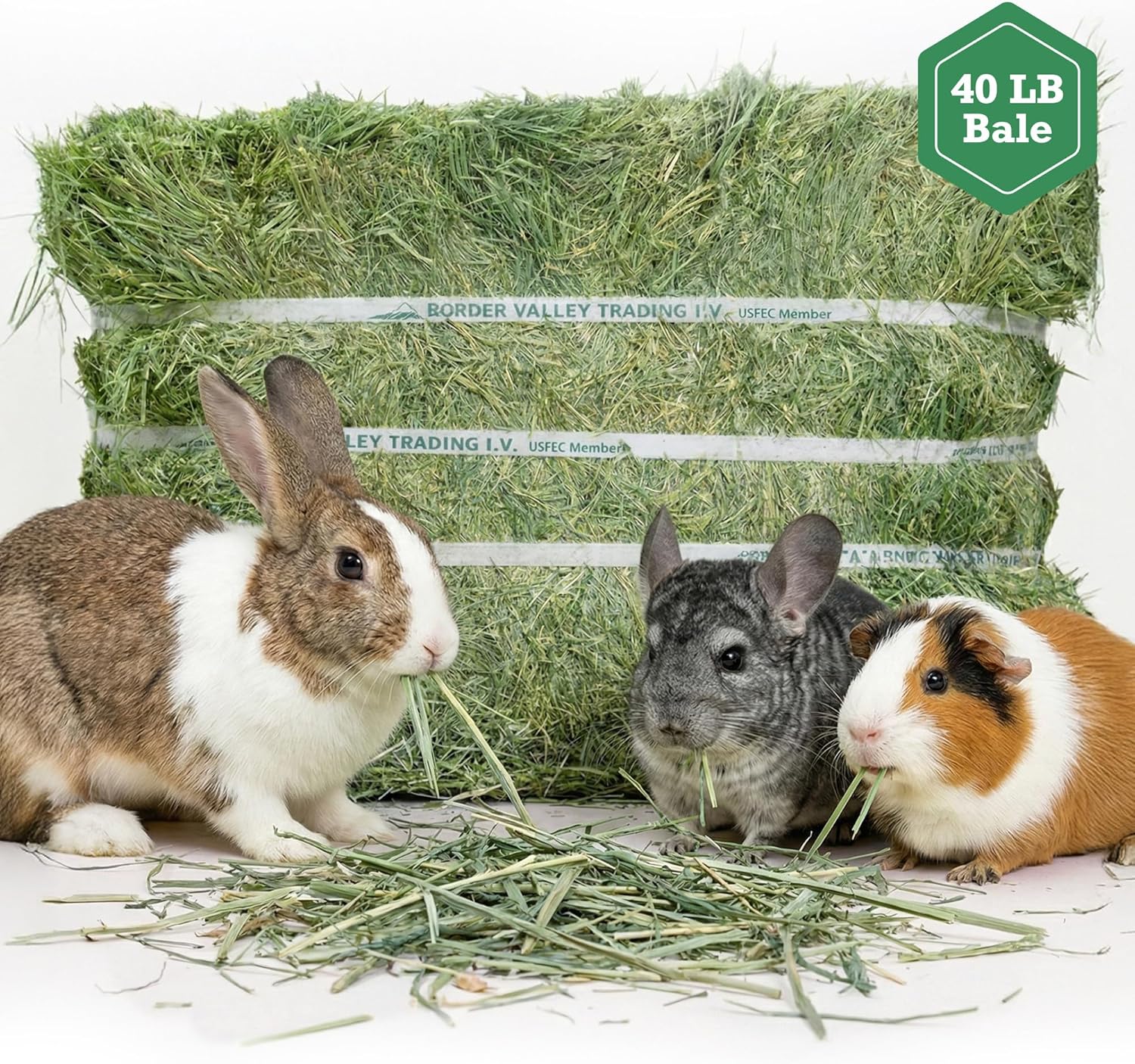 Border Valley Bermuda Grass Hay Bale in Bag, 40 lb, High Fiber Hay for Rabbits, Guinea Pigs, Chinchillas, Tortoises, Horses and Livestock - Soft Textured Grass, Farm-to-Home Freshness - Image 3