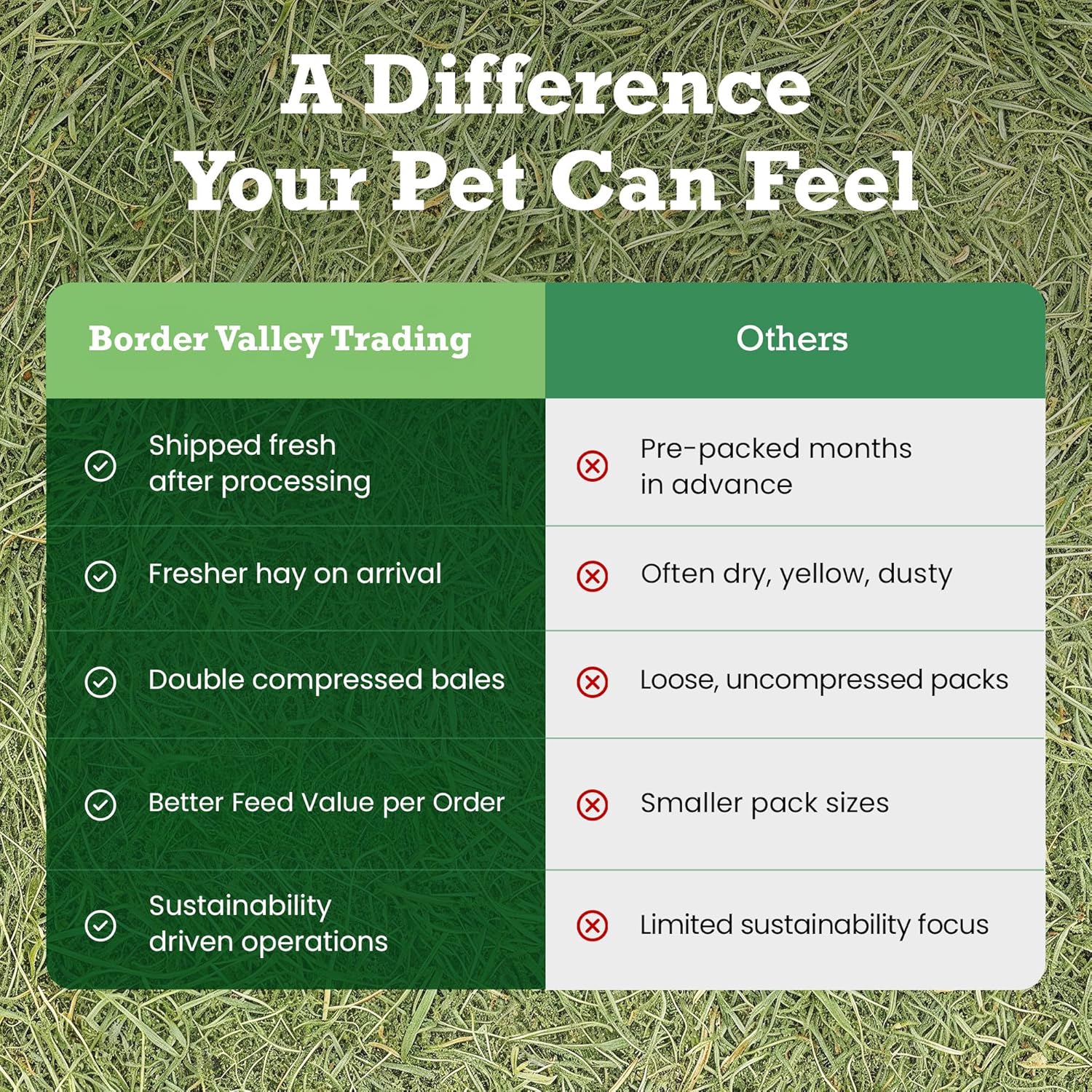 Border Valley Bermuda Grass Hay Bale in Bag, 40 lb, High Fiber Hay for Rabbits, Guinea Pigs, Chinchillas, Tortoises, Horses and Livestock - Soft Textured Grass, Farm-to-Home Freshness - Image 5