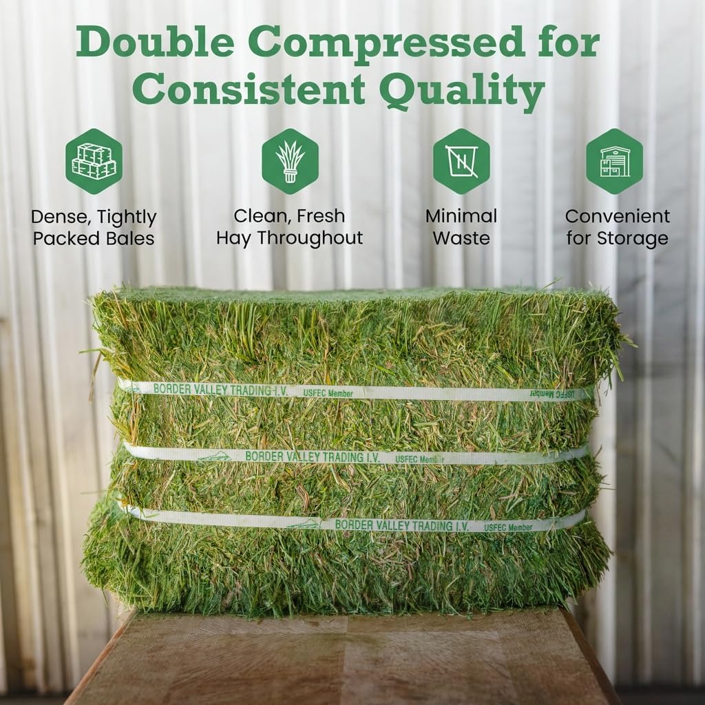 Border Valley Bermuda Grass Hay Bale in Bag, 40 lb, High Fiber Hay for Rabbits, Guinea Pigs, Chinchillas, Tortoises, Horses and Livestock - Soft Textured Grass, Farm-to-Home Freshness - Image 7