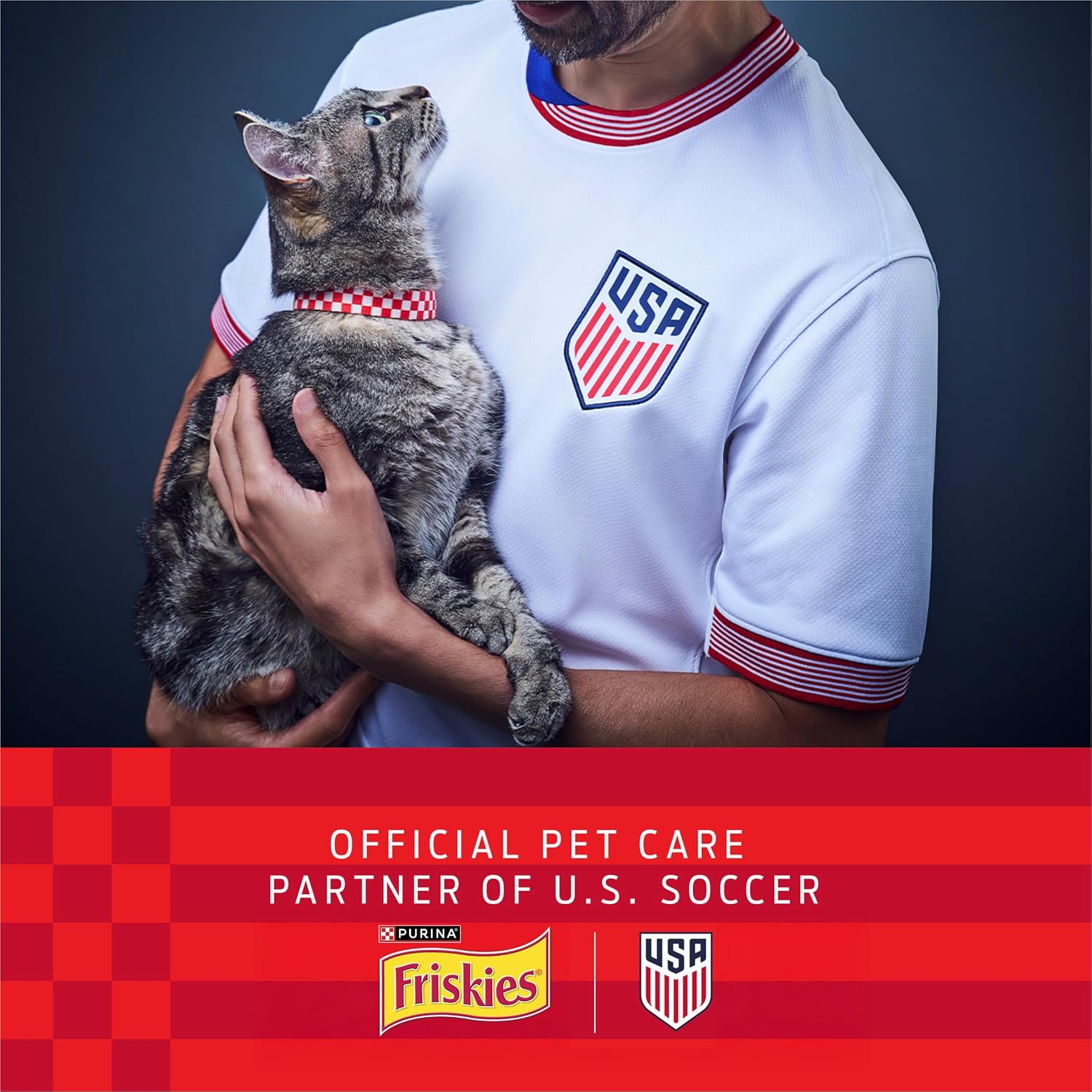 Purina Friskies Wet Cat Food Variety Pack, Shreds With Beef, Turkey and Cheese Dinner, Chicken and Salmon Dinner, and With Ocean Whitefish and Tuna - (Pack of 40) 5.5 oz. Cans - Image 3