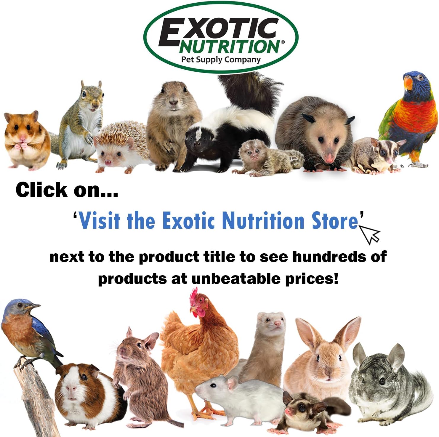 Exotic Nutrition Pasture Plus+ Dandelion Delicacy - Healthy Natural High-Fiber Dried Flower Treat - Guinea Pigs, Rabbits, Chinchillas, Prairie Dogs, Degus, Hamsters, Gerbils & Other Small Pets - Image 7