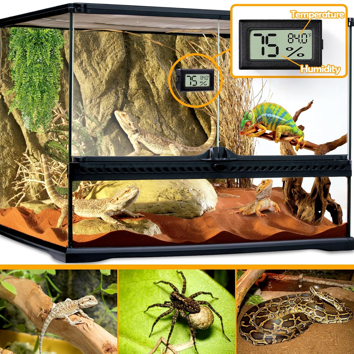 2 PCS Rectangle Reptile Thermometer and Humidity Gauge for Bearded Dragon Accessories, Reptile Tank Accessories for Jumping Spider, Leopard Gecko, Hermit Crab, Gecko, Ball Python, Lizard - Image 2