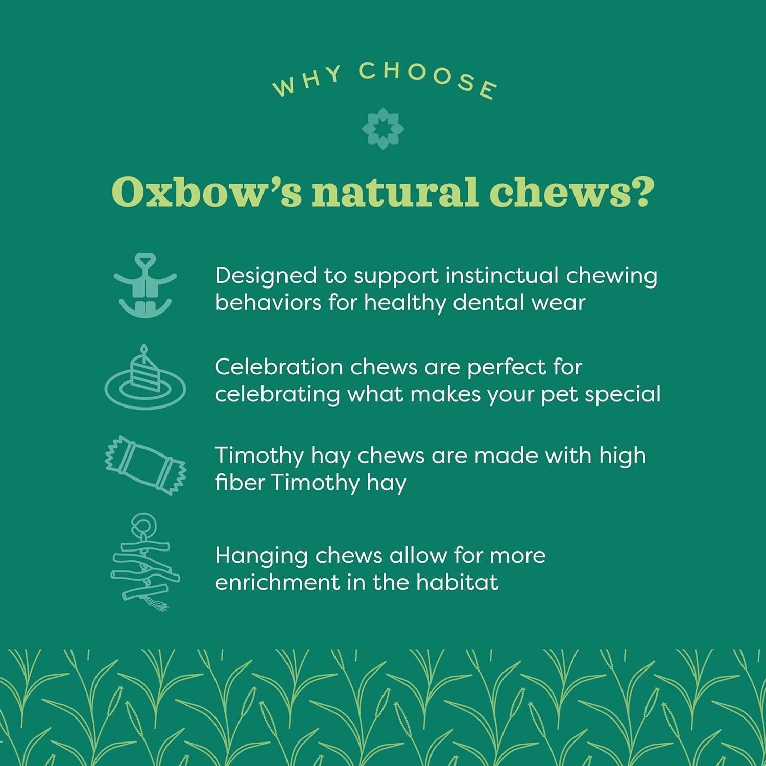 Oxbow Enriched Life Twisty Rings, Rabbit & Guinea Pig Toy, Hamster, Chinchilla & Rat Chew Rings, Small Pet Enrichment & Cage Accessory, Safe Natural Chew, Bunny Boredom Breaker, Enrichment Play Toy - Image 5