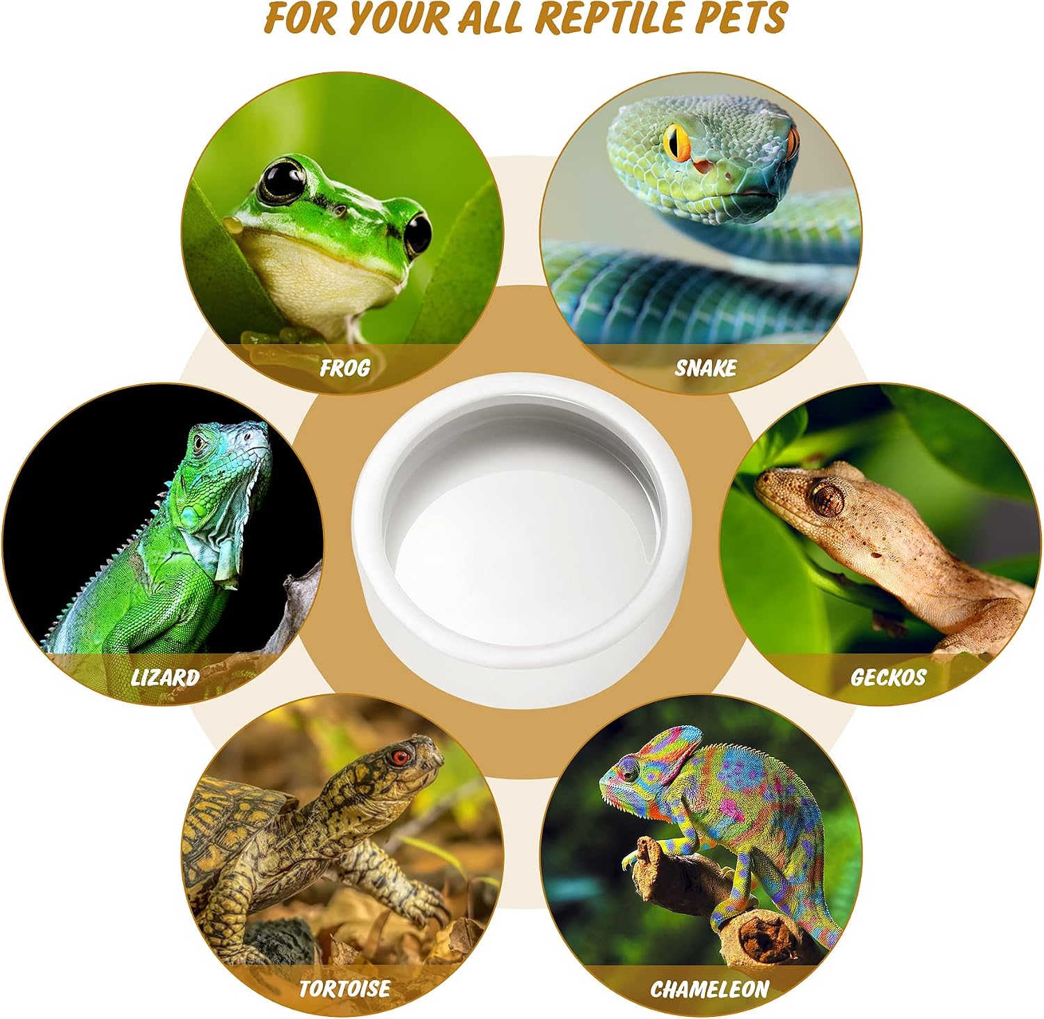 Reptile Food Bowl Lizard Gecko Ceramic Pet Worm Dish Water Bowls XL(5in) | Anti-Escape Mealworms Ceramic Dish for Bearded Dragon Chameleon Hermit Crab Dubia Cricket Feeding, Large Reptile Feeder - Image 6