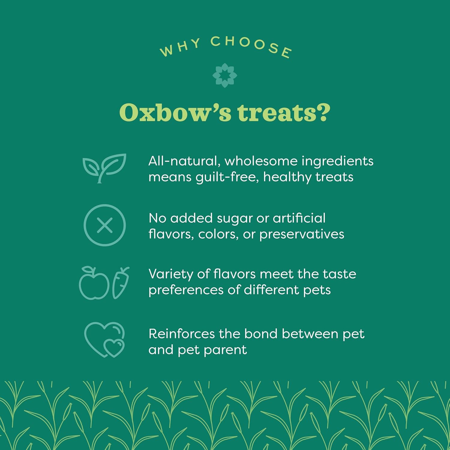 Oxbow Simple Rewards Small Pet Treats, Banana, Freeze Dried Fruit, Guinea Pig & Bunny Treats, Healthy Pet Fruit Snack for Rabbit & Guinea Pig, Freeze Dried Bananas, 1 oz Bag - Image 3