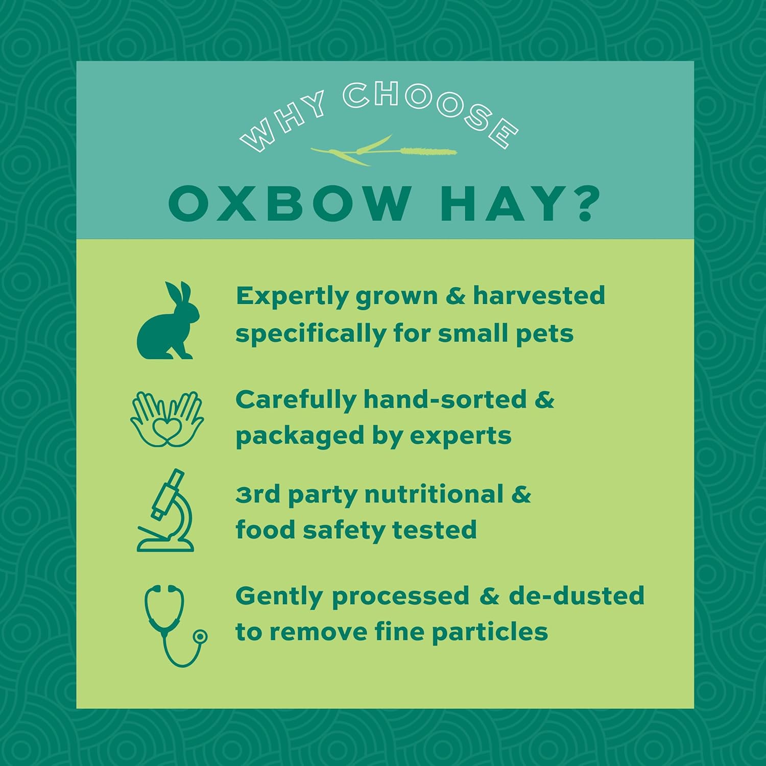 Oxbow Western Timothy Hay for Small Pets – All-Natural Grass Hay for Rabbits, Guinea Pigs, and Chinchillas – High Fiber for Digestive Health and Dental Support – 40 oz Bag - Image 5