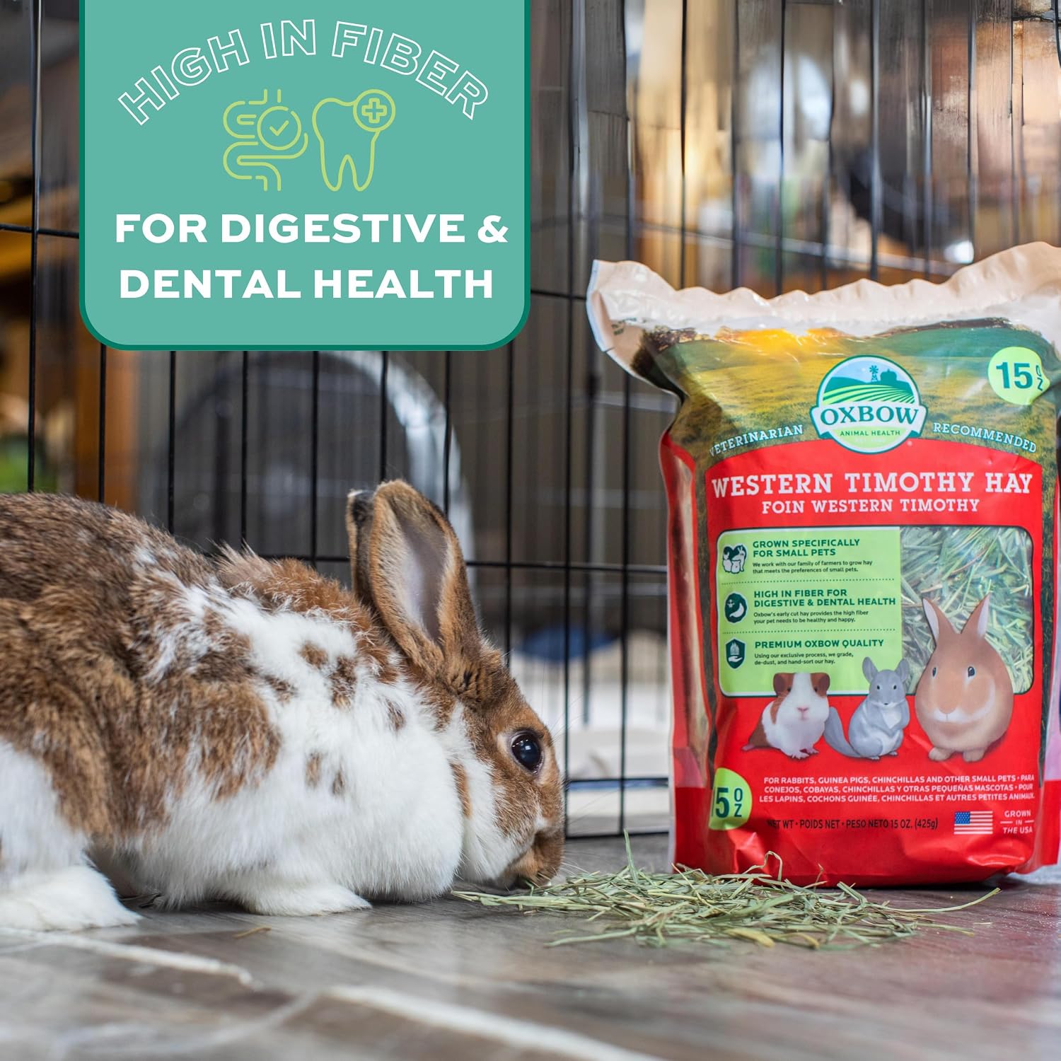 Oxbow Western Timothy Hay for Small Pets – All-Natural Grass Hay for Rabbits, Guinea Pigs, and Chinchillas – High Fiber for Digestive Health and Dental Support – 40 oz Bag - Image 12