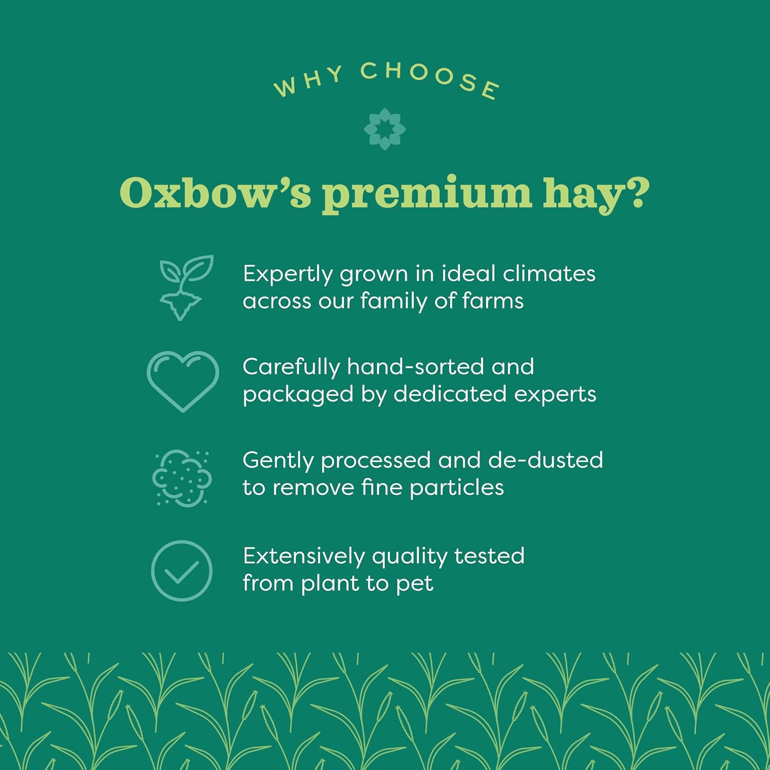 Oxbow Western Timothy Hay for Small Pets – All-Natural Grass Hay for Rabbits, Guinea Pigs, and Chinchillas – High Fiber for Digestive Health and Dental Support – 40 oz Bag - Image 17