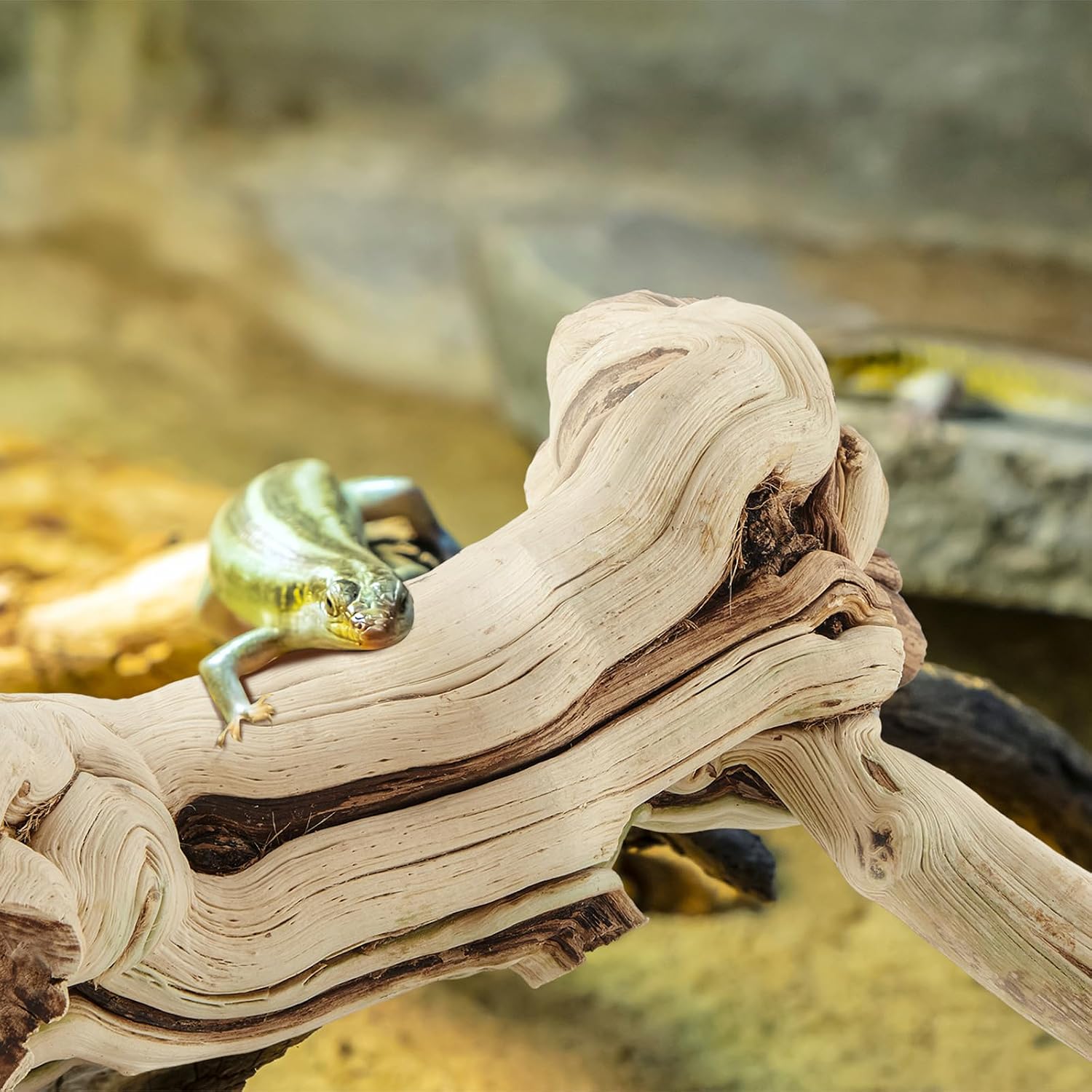 Janinka 14-17" Length Large Wood Reptile Branch for Bearded Dragon Driftwood Reptile Climbing Habitat Decoration for Terrarium Tree Trunk Ornament Gecko Frog Chameleon Spider - Image 6