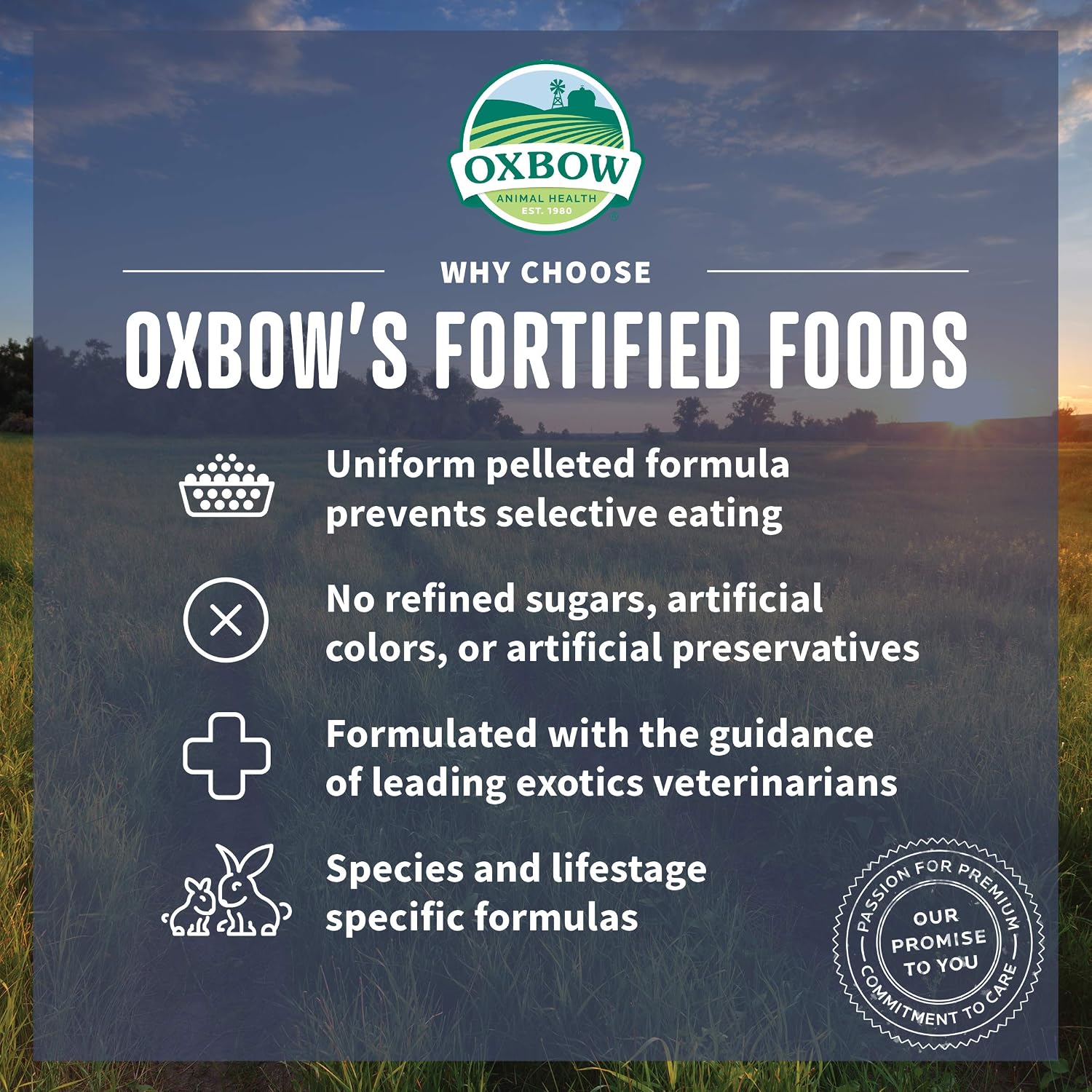 Oxbow Garden Select Mouse and Young Rat Food, Garden-Inspired Recipe for Young Rats and Mice of All Ages, Vitamin & Mineral Rich Pet Food Pellets, Non-GMO, Made in USA, 2 Pound Bag - Image 3