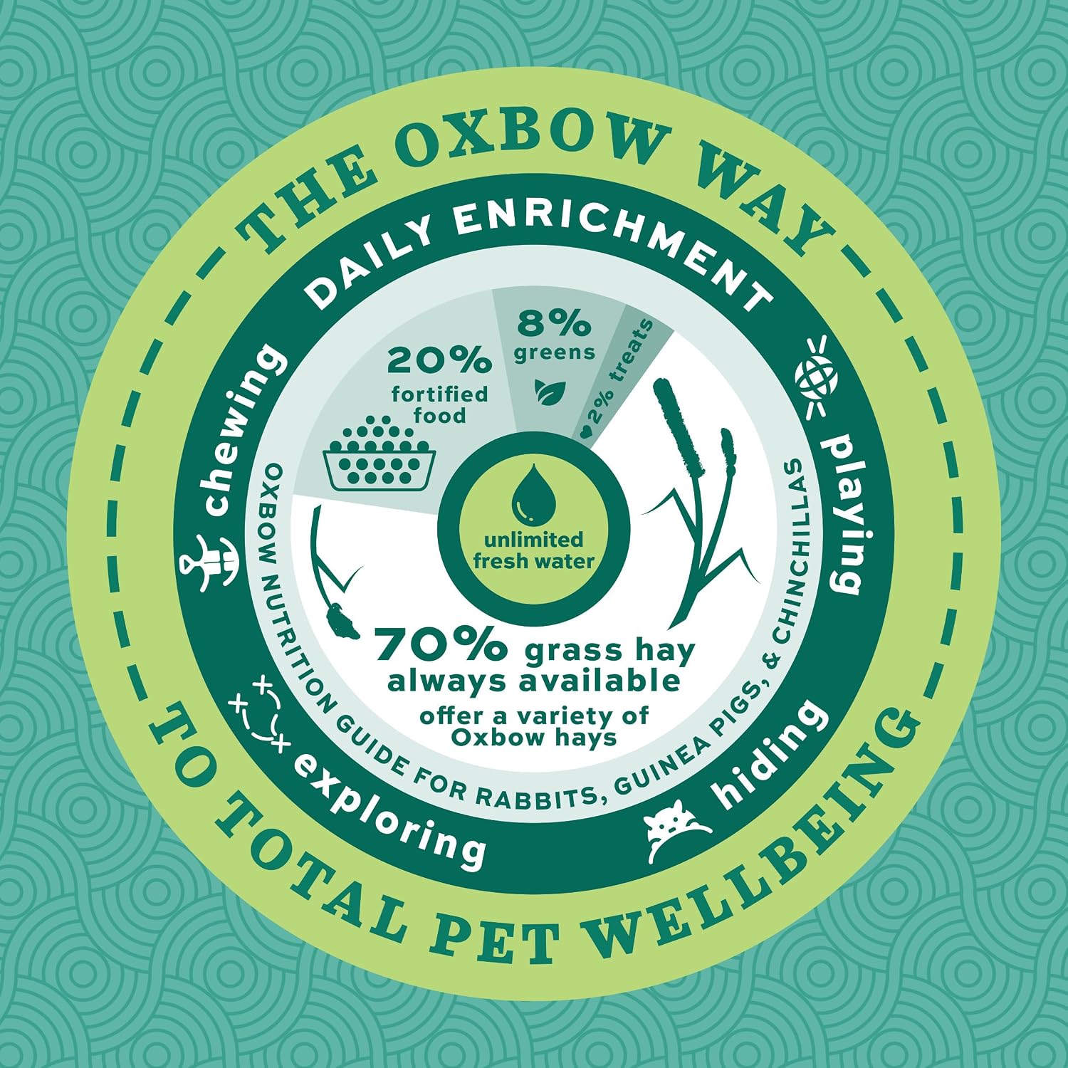 Oxbow Essentials Guinea Pig Food, Adult Guinea Pig, Made with Oxbow Timothy Hay, Pet Food Pellets with Vitamin C, Small Animal Pet Products, Made in USA, High Fiber, 10 lb. bag - Image 11