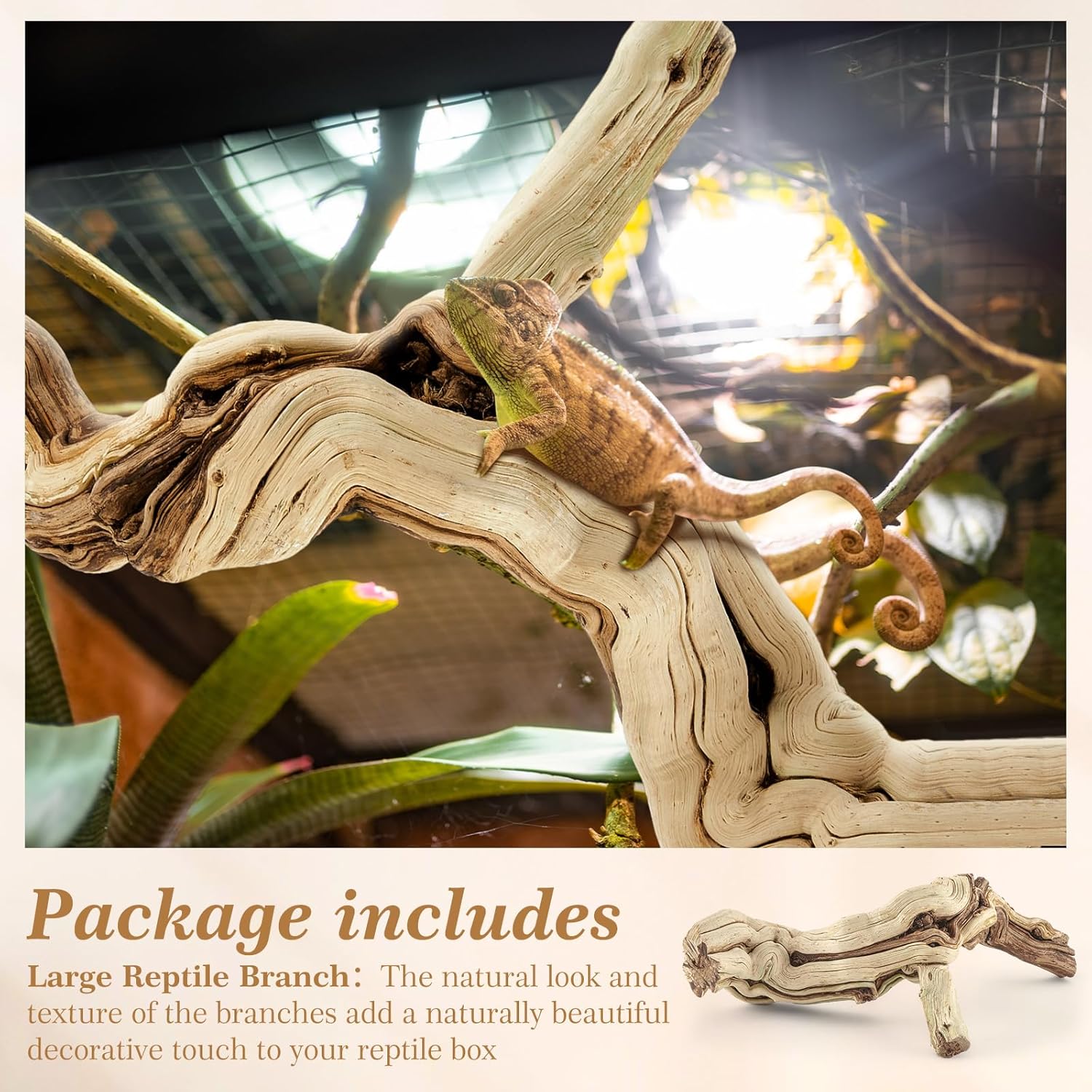 Janinka 10-12" Length Large Wood Reptile Branch for Bearded Dragon Driftwood Reptile Climbing Habitat Decoration for Terrarium Tree Trunk Ornament Gecko Frog Chameleon Spider - Image 3