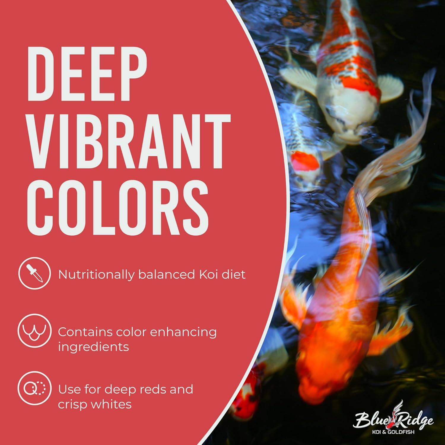 Blue Ridge Koi Fish Food 14lb - Koi Food 3/16” Platinum Pro Formula Goldfish Food, Premium Fish Food for Ponds, Ponds Fish Food, Floating Pond Pellet - Image 5