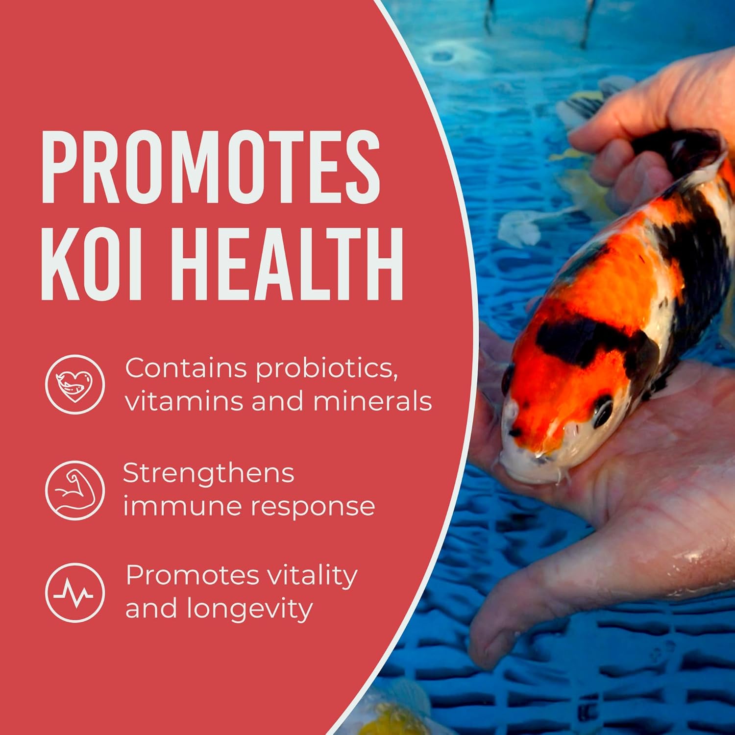 Blue Ridge Koi Fish Food 14lb - Koi Food 3/16” Platinum Pro Formula Goldfish Food, Premium Fish Food for Ponds, Ponds Fish Food, Floating Pond Pellet - Image 6
