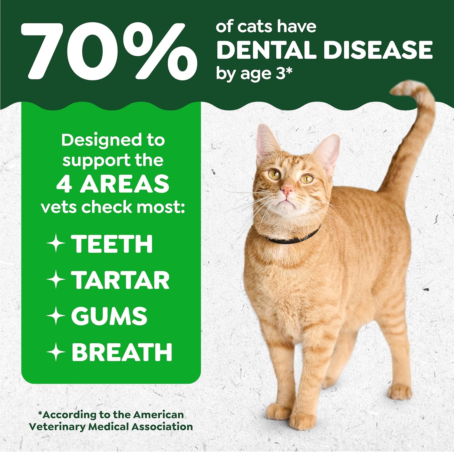 Greenies Cat Treats, Feline Veterinarian-Recommended Adult Natural Dental Treats, Catnip Flavor, 21 oz. Tub - Image 3