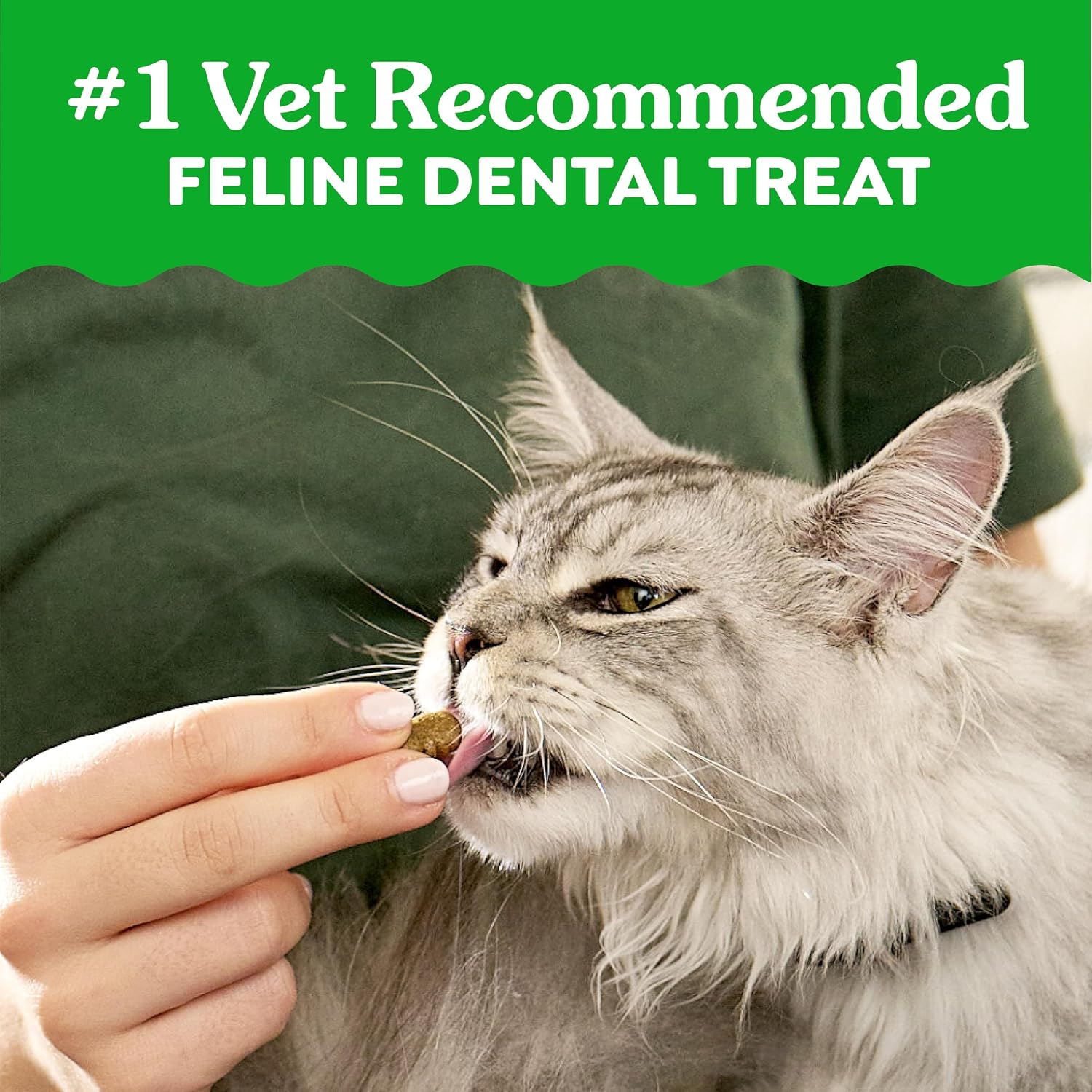 Greenies Cat Treats, Feline Veterinarian-Recommended Adult Natural Dental Treats, Catnip Flavor, 21 oz. Tub - Image 4