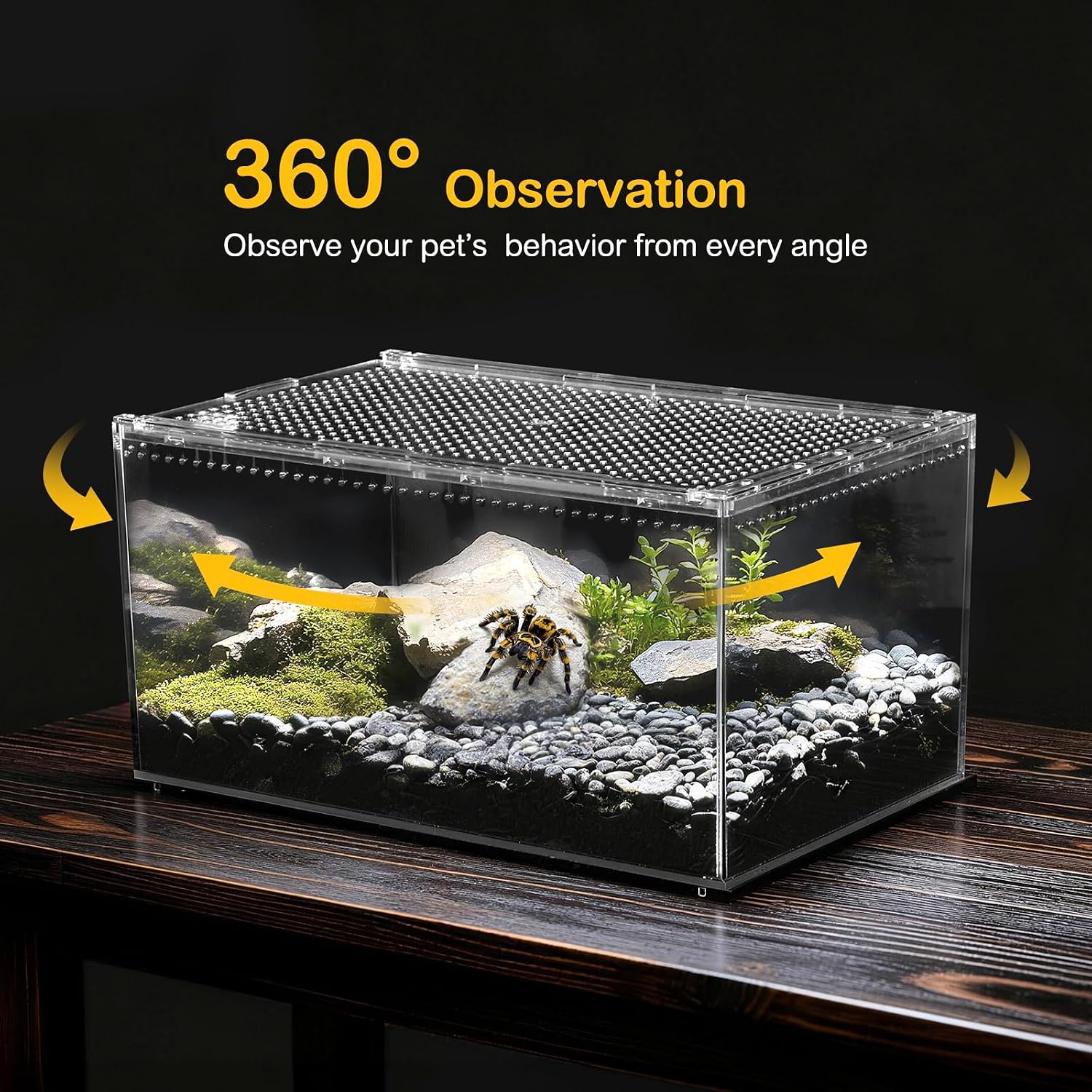 Reptile PC Tank,Escape Proof Magnetic Lid Tarantula Enclosure Small | Easy Clean Seamless Base Hermit Crab Habitat,Stackable Isopod Terrarium,Cross Ventilation Spider Starter Cage,Frog Container - Image 7