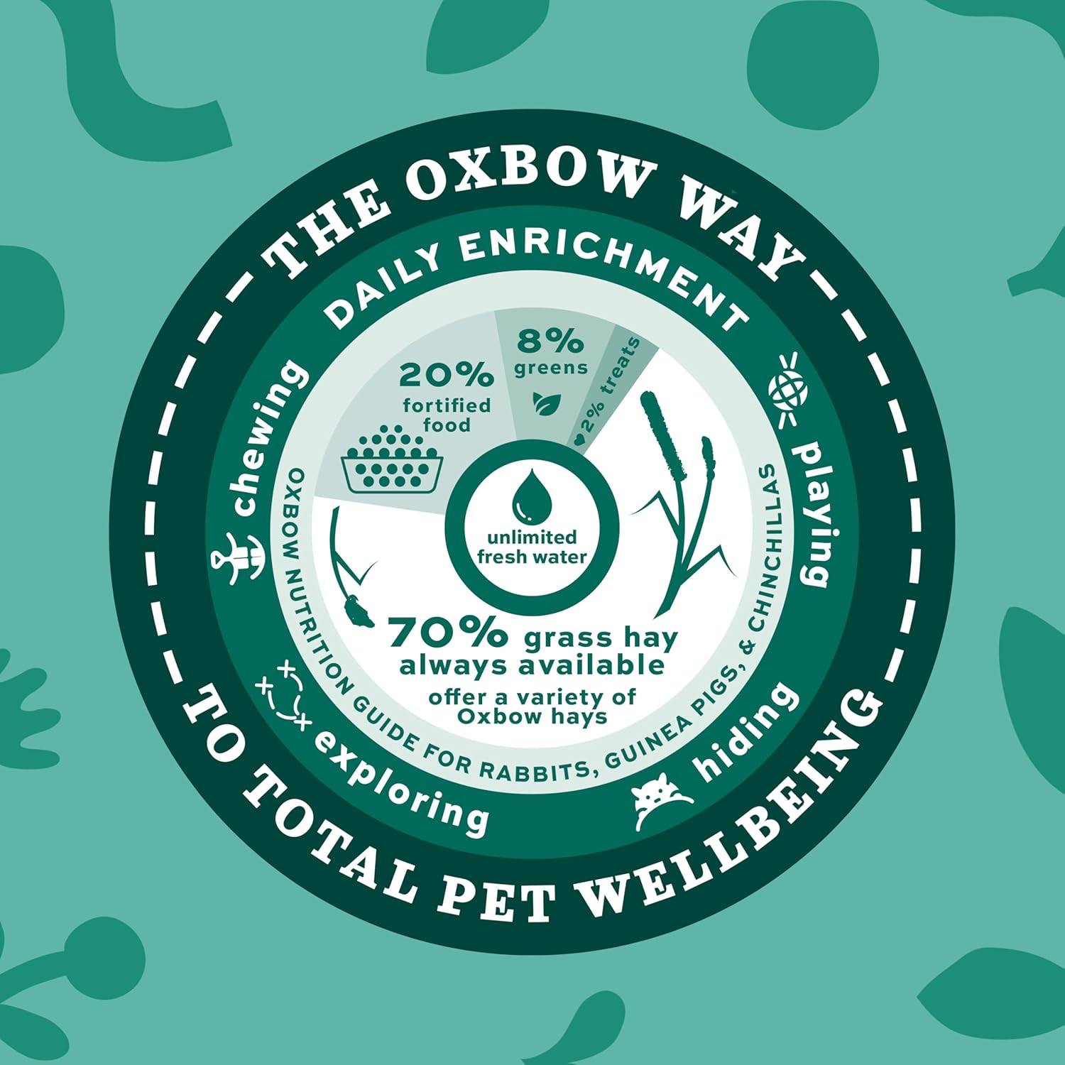 Oxbow Essentials Young Guinea Pig Food, Guinea Pig Pellets Made with Timothy Hay, Stabilized Vitamin C, Small Animal Pet Products, Small Animal Food Made in USA, High Fiber, 10 lb. Bag - Image 7