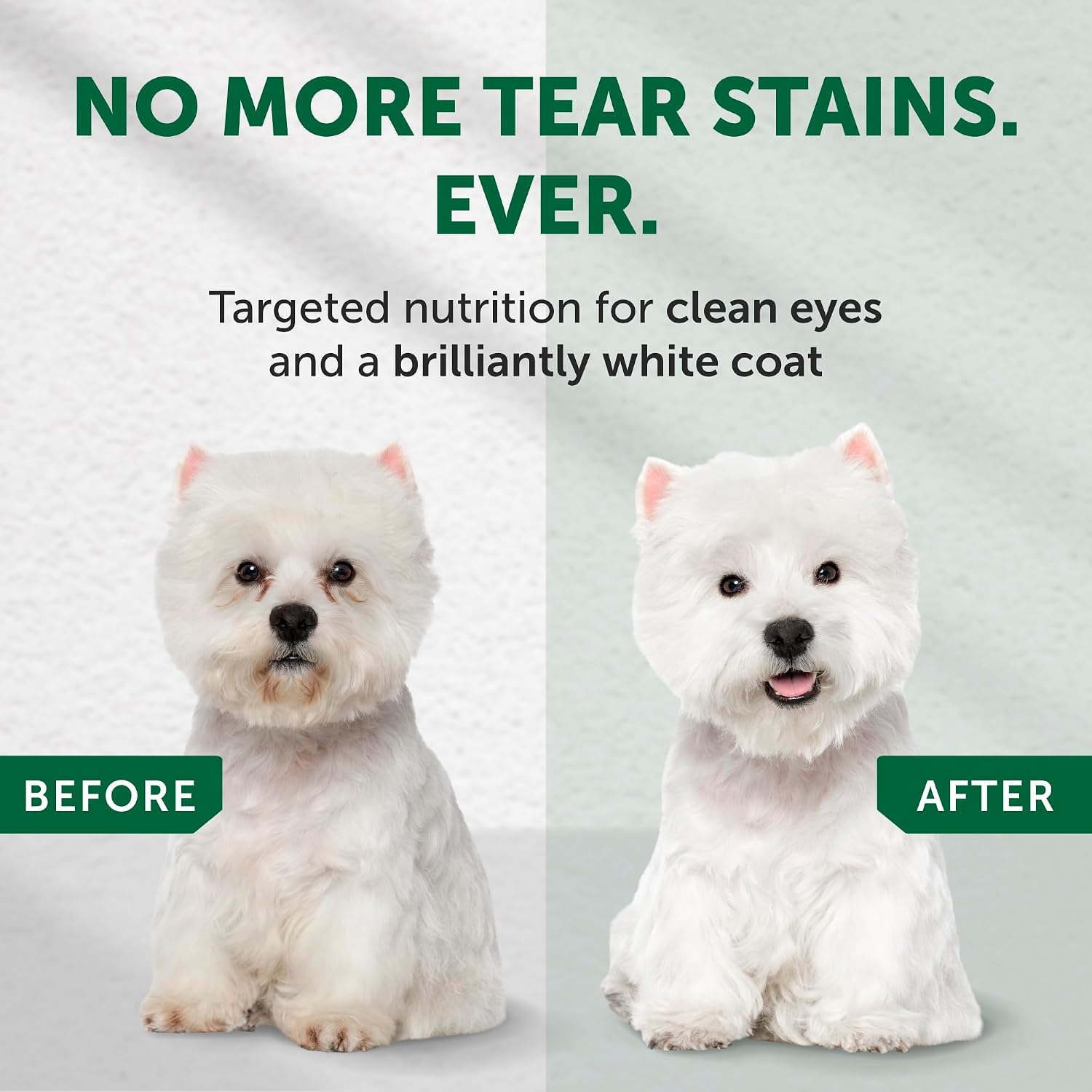 Nature's Protection Dry Dog Food for Small Breed - High Protein, Grain-Free Tear Stain Dog Kibble for White & Light Coated Adult Dogs (Superior Care - Salmon, 3.3 lb) - Image 2