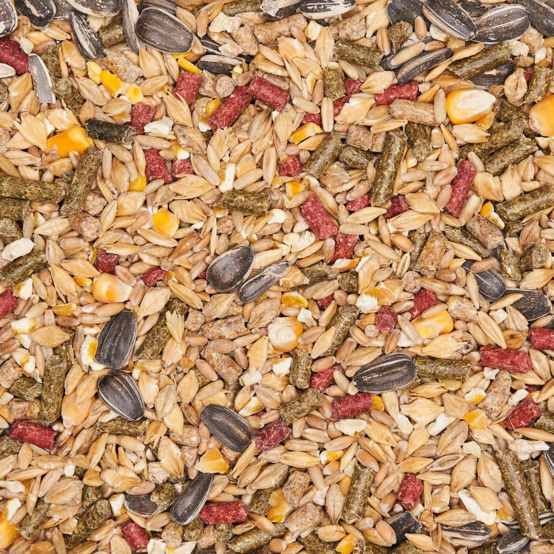Mycelium Mouse Feed 5 lb Bag | Organic Mouse Food for Healthy Skin, Coat & Dental Care | High-Protein Balanced Nutrition with Vitamins and Minerals | Non-GMO & USA Made - Image 3