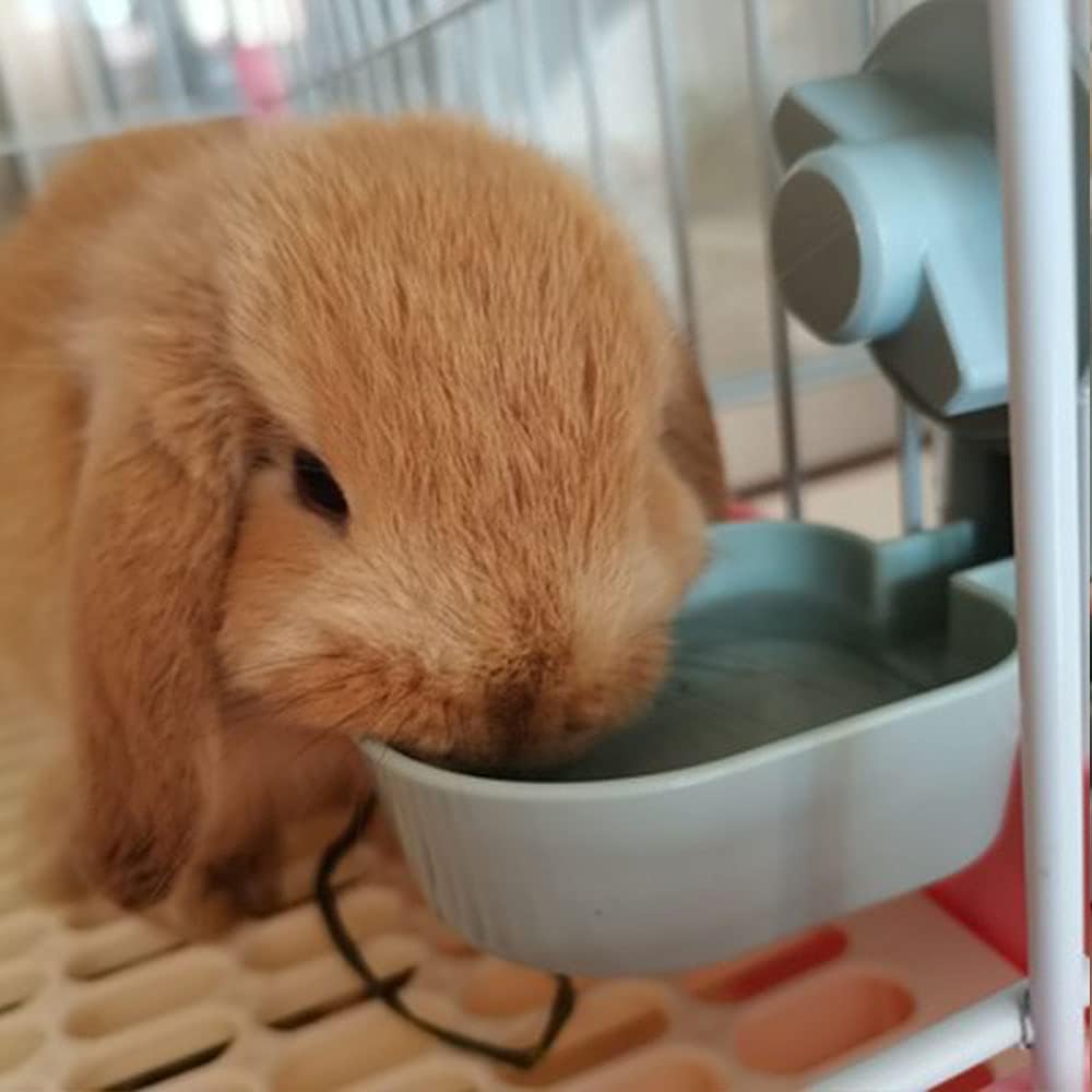 17oz No Leak Rabbit Waterer Feeder, No Drip Water Feeder Water Bowl for Guinea Pig Hamster Chinchilla Ferret Small Animal - Image 8