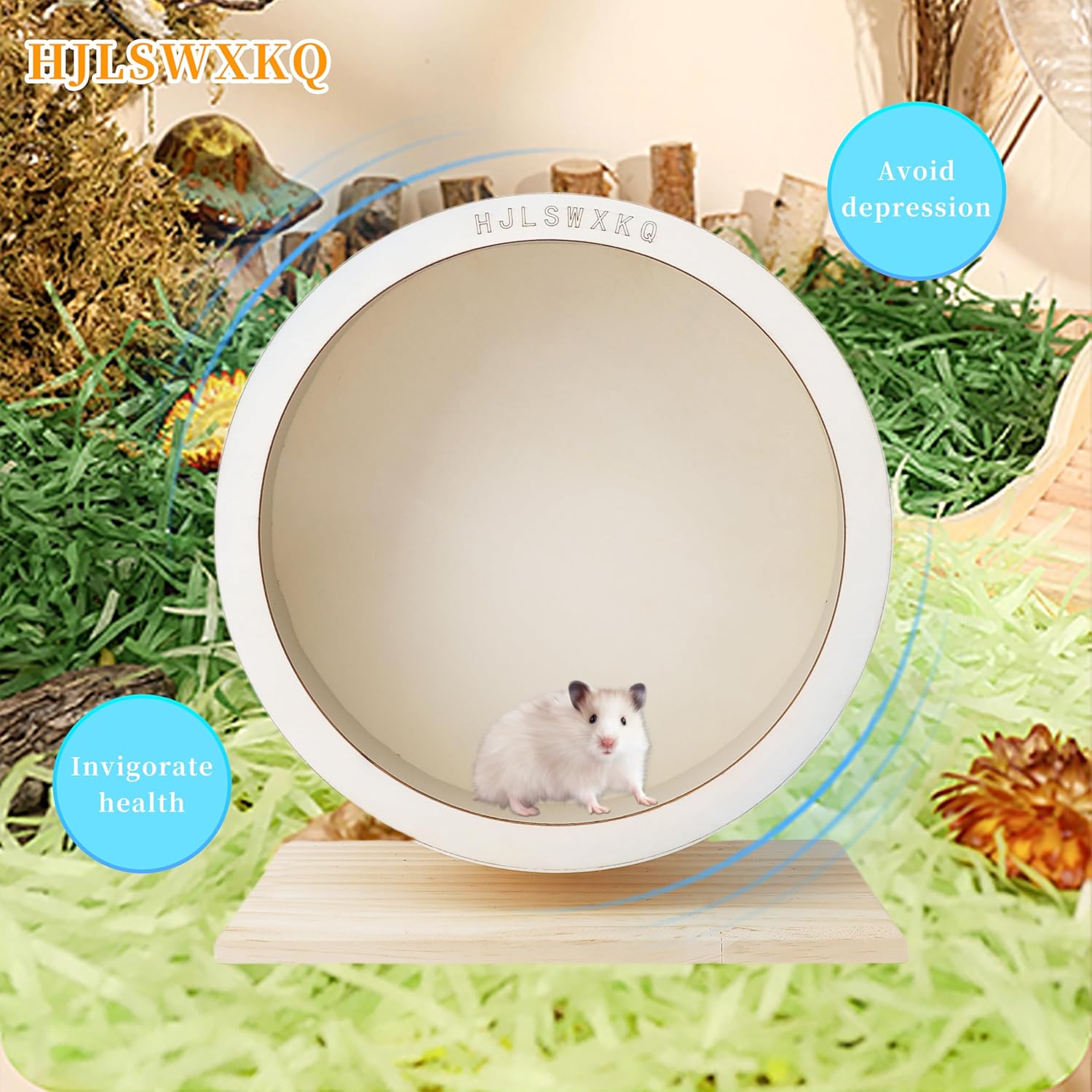 9in Silent Hamster Wheel with 2 Natural Chew Toys - Wooden Exercise Wheel with Removable Track, Quiet Spinner for Gerbils, Mice, Hamsters,Mouse,Syrian Hamster(9in) - Image 6