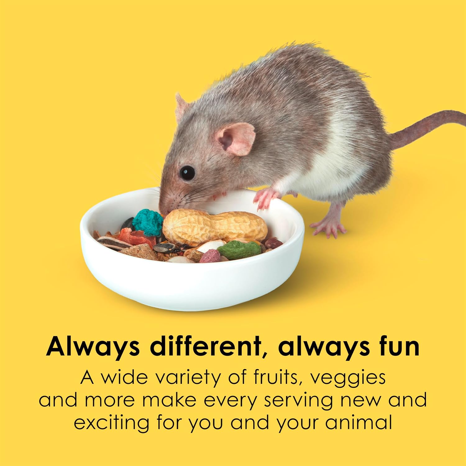 Kaytee Fiesta Mouse & Rat Food Flavor Medley 15 Pounds - Image 3