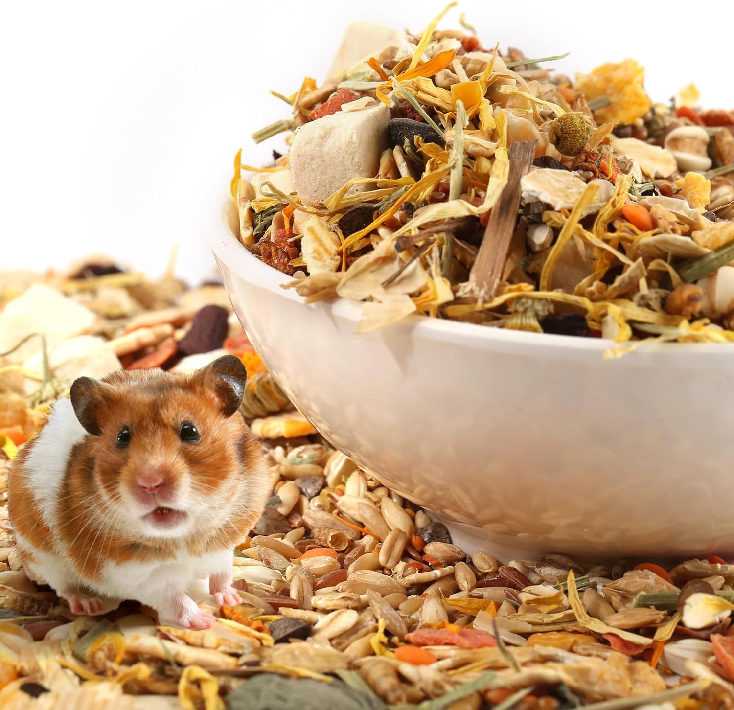 Abizoo Hamster & Gerbil Treat, Natural Health, Gourmet Hamster and Gerbil Food for Small Animals with Seeds, and Grains,Vitamin-Nutrient Fortified - Image 4