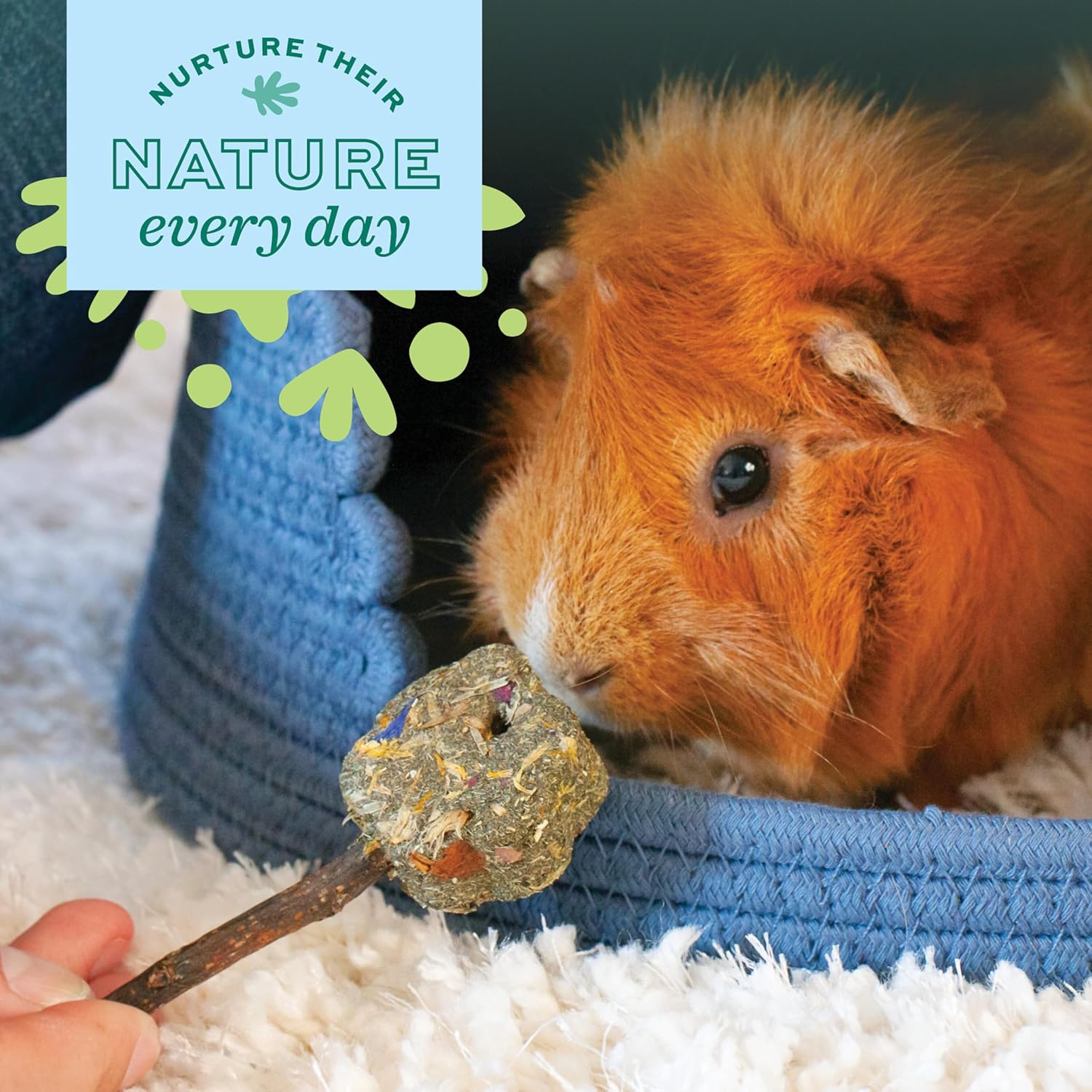 Oxbow Enriched Life Apple Stick Bundle, Rabbit Toys, Guinea Pig Toys, Enrichment for Bunny, Guinea Pig, Hamster, Rabbit, Chinchilla, Rat, Chinchilla Cage Accessories, Small Pet Accessories for Cage - Image 5