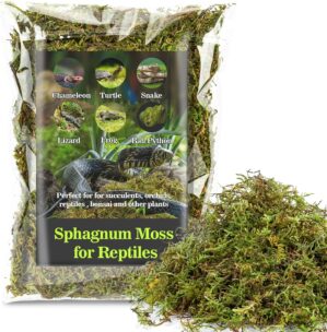 Sukh Sphagnum Moss for Reptiles ...