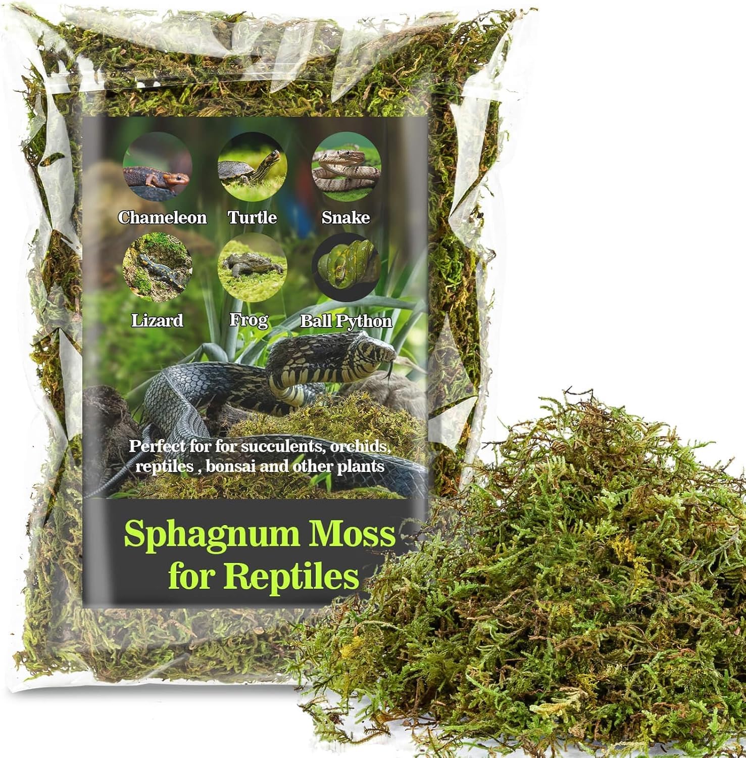 Sukh Sphagnum Moss for Reptiles - Green Terrarium Moss Substrate, 5oz | Habitat Bedding for Gecko, Snake, Turtle, Frog, Bearded Dragon, Jumping Spider, Chameleon, Enclosure & Tank Accessories Decor