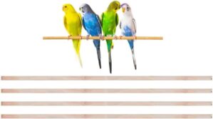 New Natural Wood Perches for Bird C...