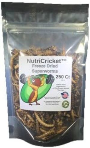 NutriCricket Freeze Dried Superworm...