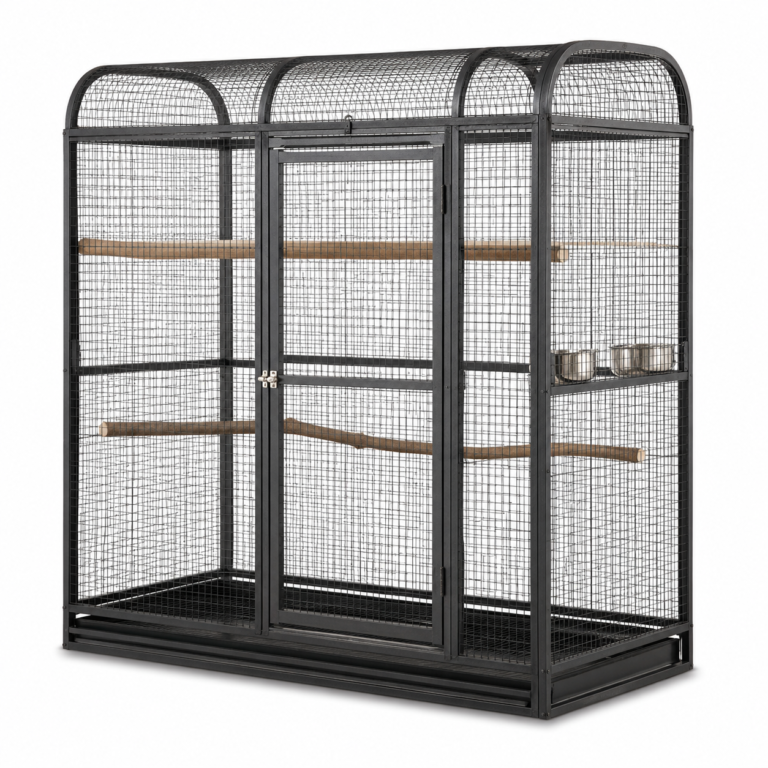 Pet Bird Cages