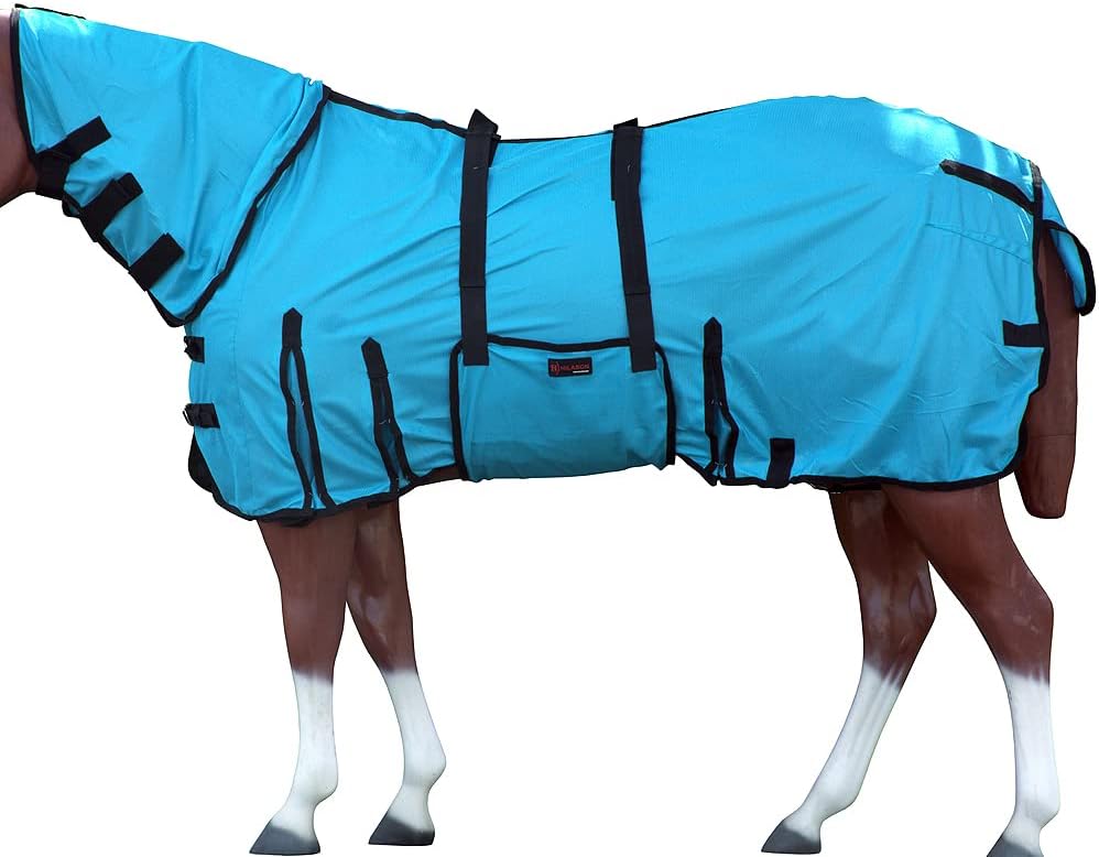 HILASON Horse Fly Sheet UV Protect Breathable Mesh Bug Mosquito Spring | Summer Horse Rug | Fly Rug