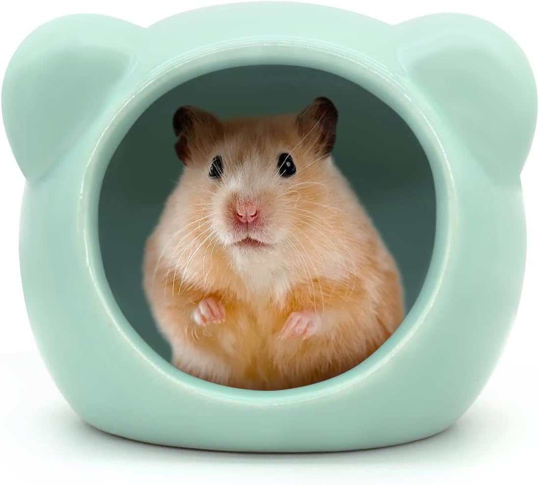 Ceramic Hamster House, Cute Animal Shaped Hamster Cave, Summer Cool Small Animal Hideout Habitat Decor for Dwarf Hamsters (Green)