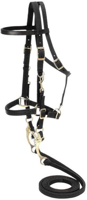 Australian Outrider Nylon Halter Br...