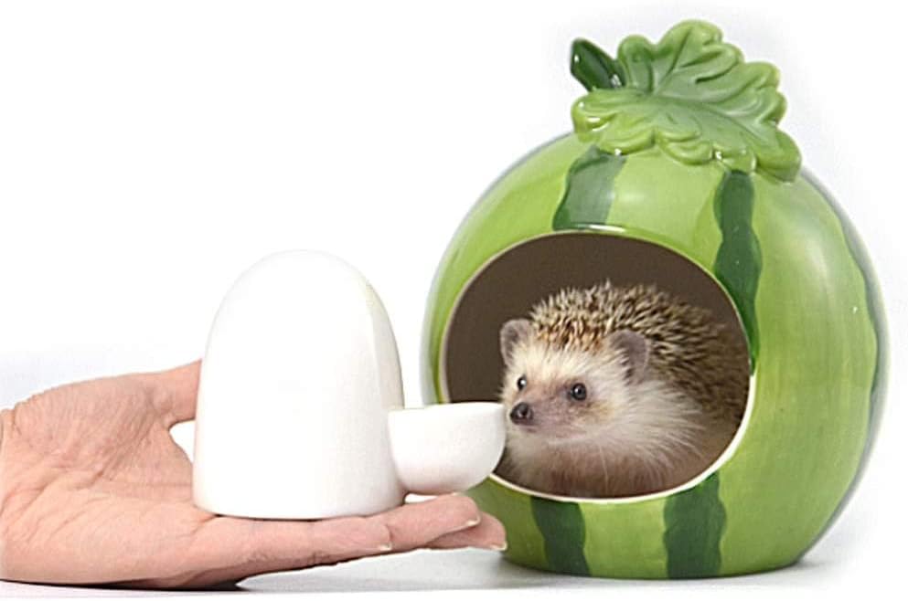 Dahey Drinking Water Feeder Ceramics Slient Bottle Waterer Automatic Small Pets for Hamster Hedgehog Chinchilla Ferret Small Guinea Pig, White, 8Oz - Image 2