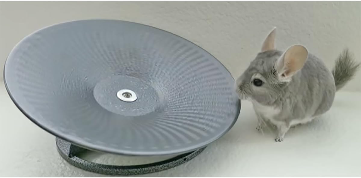 Treadmill Wheel 14" Black - All Metal Exercise Wheel for Chinchillas, Prairie Dogs, Rats, Hedgehogs, Sugar Gliders, Squirrels, Degus, Hamsters & Other Small Animals - Smooth, Fast, Silent, Durable - Image 2