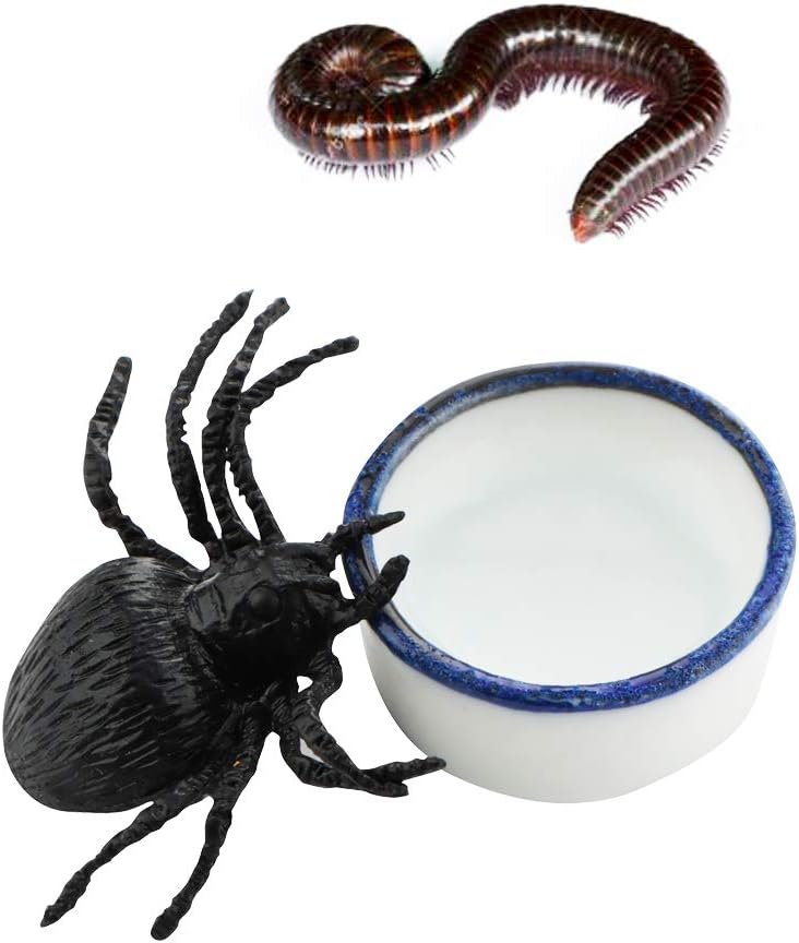 6 Pcs Spider Micro Water Bowl Mini Ceramic Dish for Spider Tarantula Millipede Tiny Reptile (Small: 0.86" D, 0.43" H) - Image 4