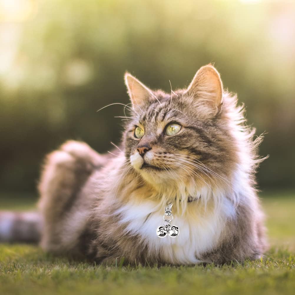 EXPAWLORER Cat Bell 2 Pack - Cat Collar Accessories Bells Loud with Claw Buckle, Pet Jingle Charm Ornament Training Pendant Jewelry, Tracker for Saving Birds, Neck Decoration for Dogs Kitten, Silver | Pet Bell Jingle Collar Charm Ornament Training Pendant Jewelry with Buckle, Loud Tracker for Saving Birds, Silver - Image 7