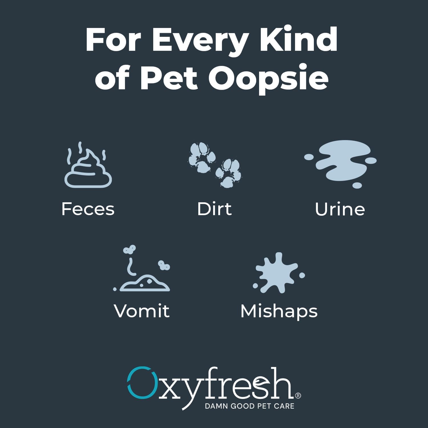 Oxyfresh Pet Stain & Odor Remover, Strong Carpet Stain Remover & Cleaner Spray – Advanced Pet Urine Odor Eliminator for Entire Home - Fast Acting Dog & Cat Urine Neutralizer - Image 8