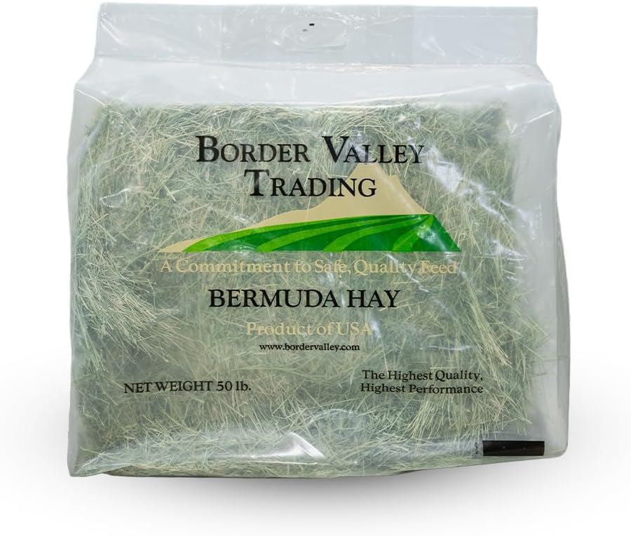 Border Valley Bermuda Grass Hay Bale in Bag, 40 lb, High Fiber Hay for Rabbits, Guinea Pigs, Chinchillas, Tortoises, Horses and Livestock - Soft Textured Grass, Farm-to-Home Freshness - Image 2