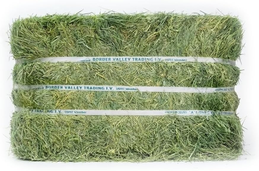 Border Valley Bermuda Grass Hay Bale in Bag, 40 lb, High Fiber Hay for Rabbits, Guinea Pigs, Chinchillas, Tortoises, Horses and Livestock - Soft Textured Grass, Farm-to-Home Freshness